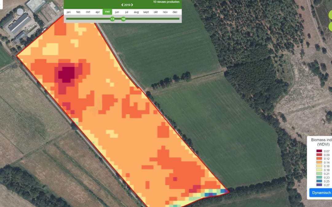 Dit vertelt uw gewas