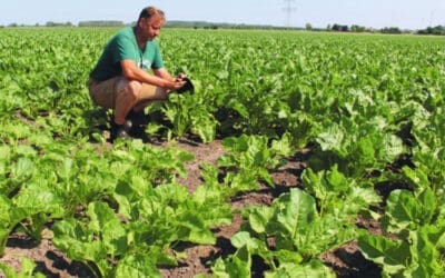 NIEUWE OOGST: FieldScout maakt smart farming beter toegankelijk