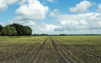 FieldScout helpt akkerbouwers bij verduurzamen bedrijfsvoering